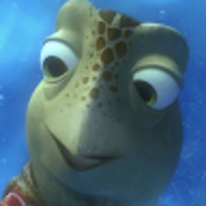 Meet your Posher, Kailey